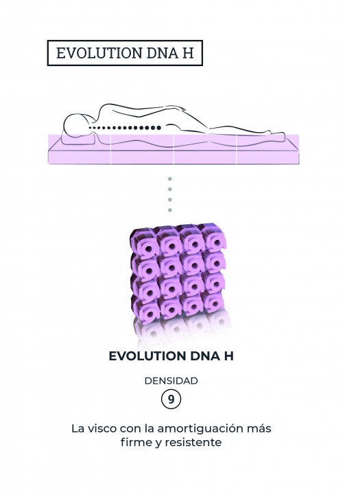 Cápsula Evolution DNA H
